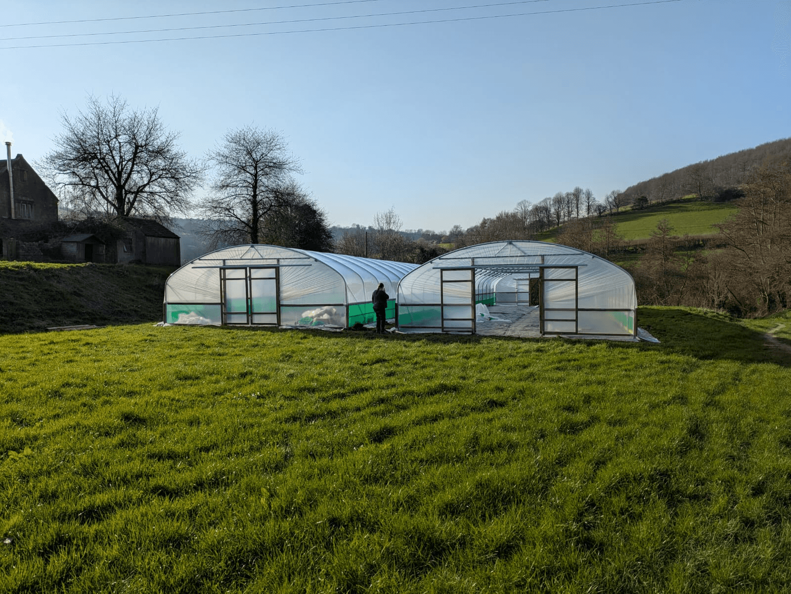 Poly tunnels for strawberries
